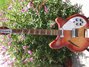 Rickenbacker 365/6 , Fireglo: Close up - Free2