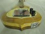 Rickenbacker 5002/8 , Mapleglo: Free image