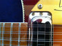 Rickenbacker 660/12 TP, Fireglo: Free image