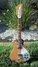 Rickenbacker 620/6 Mod, Custom: Full Instrument - Front