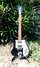 Rickenbacker 481/6 Slant Fret, Jetglo: Full Instrument - Front