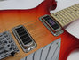 Rickenbacker 650/6 Colorado, Fireglo: Close up - Free2