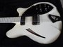 Rickenbacker 360/12 Tuxedo, White: Free image