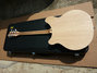 Rickenbacker 360/6 , Mapleglo: Full Instrument - Rear