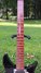 Rickenbacker 350/6 , Jetglo: Neck - Front