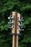 Rickenbacker 370/12 , Mapleglo: Headstock - Rear