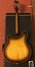 Rickenbacker 360/12 , WalnutGlo: Full Instrument - Rear