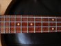 Rickenbacker 4001/4 Mod, Mapleglo: Neck - Front