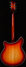 Rickenbacker 360/6 , Fireglo: Full Instrument - Rear