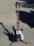 Rickenbacker 4003/4 , Midnightblue: Full Instrument - Front