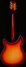 Rickenbacker 360/12 C63, Fireglo: Full Instrument - Rear