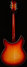 Rickenbacker 360/12 C63, Fireglo: Full Instrument - Rear