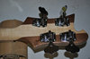 Rickenbacker 4003/4 , Mapleglo: Headstock - Rear