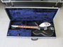 Rickenbacker 360/6 V64, Jetglo: Full Instrument - Front