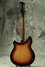 Rickenbacker 360/12 , MonteBrown: Full Instrument - Rear