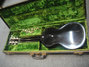 Rickenbacker B/6 LapSteel, Black: Full Instrument - Rear