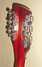 Rickenbacker 381/12 V69, Fireglo: Headstock - Rear