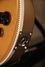 Rickenbacker 660/12 , Desert Gold: Close up - Free