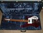 Rickenbacker 480/6 , Burgundy: Neck - Front