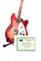 Rickenbacker 360/12 CW, Fireglo: Close up - Free