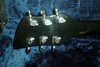 Rickenbacker 350/6 SH, Jetglo: Headstock - Rear