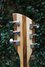 Rickenbacker 360/6 , Mapleglo: Headstock - Rear