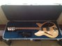 Rickenbacker 330/6 BH BT, Mapleglo: Full Instrument - Front