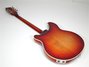 Rickenbacker 360/12 , Fireglo: Full Instrument - Rear