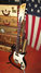 Rickenbacker Barth/6 , Autumnglo: Full Instrument - Front