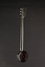 Rickenbacker A25/6 LapSteel, Aluminum: Free image2