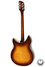 Rickenbacker 360/6 WB, Autumnglo: Full Instrument - Rear