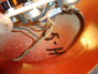 Rickenbacker 1997/6 RoMo, Fireglo: Close up - Free2