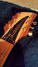 Rickenbacker 650/6 Sierra, Natural Walnut: Headstock