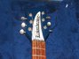 Rickenbacker 320/6 , Azureglo: Close up - Free2