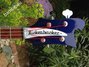 Rickenbacker 4003/4 , Midnightblue: Headstock