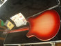 Rickenbacker 360/6 , Fireglo: Full Instrument - Rear