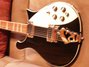 Rickenbacker 620/12 , Jetglo: Neck - Front