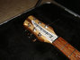 Rickenbacker 330/6 , Mapleglo: Neck - Front