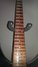 Rickenbacker 330/6 , Jetglo: Neck - Front