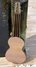 Rickenbacker Academy/6 LapSteel, Brown: Full Instrument - Rear