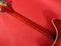 Rickenbacker 370/12 RM, Fireglo: Neck - Rear