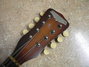Rickenbacker Mandolin (hollow body)/8 Electro, Two tone brown: Headstock