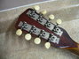 Rickenbacker Mandolin (hollow body)/8 Electro, Two tone brown: Headstock - Rear