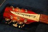 Rickenbacker 330/12 , Fireglo: Free image