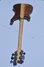 Rickenbacker 4003/4 , Natural Walnut: Full Instrument - Rear