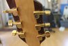 Rickenbacker 650/6 Dakota, Natural Walnut: Headstock - Rear