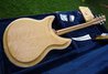 Rickenbacker 381/6 V69, Mapleglo: Full Instrument - Rear