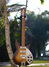 Rickenbacker 350/6 V63, MonteBrown: Full Instrument - Front