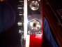 Rickenbacker 4003/4 , Ruby: Free image2