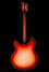 Rickenbacker 360/6 C63, Fireglo: Full Instrument - Rear